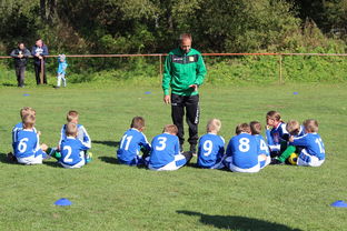 乐鱼体育在线登陆-德甲球队构建战术模拟平台辅助赛中调整，德甲模式